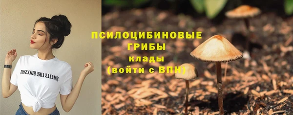 первитин Армянск