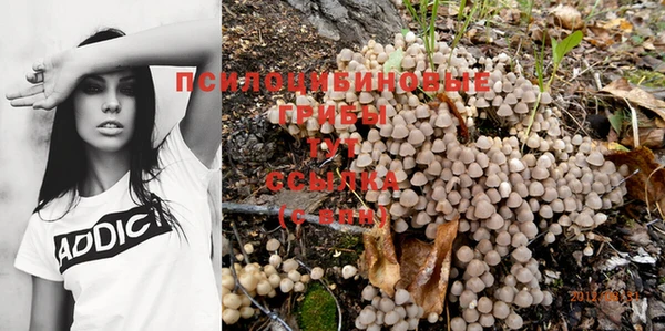 прущая мука Аркадак