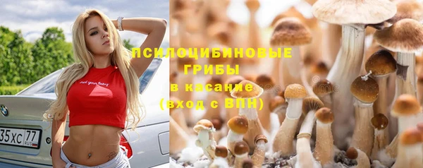 первитин Армянск